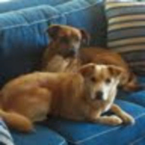 Meet your Posher, Lynne